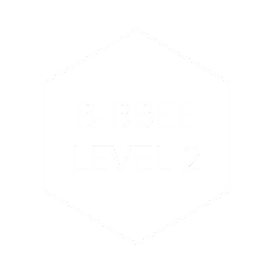 BEE-LEVEL-2